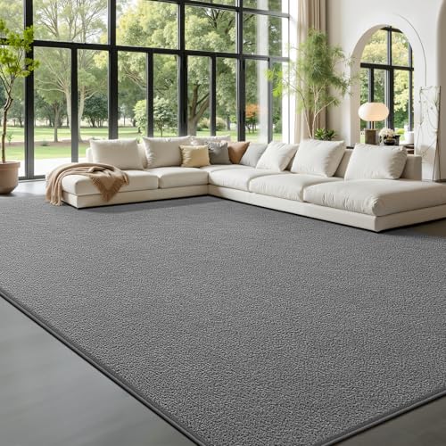 Large Area Rugs for Living Room Bedroom, 6 x 9