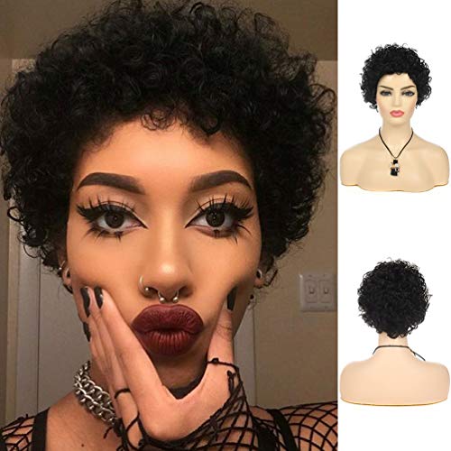 Wiwige Short Black Curly Wig Afro Kinky Fluffy Bouncy Synthetic Heat Resistant Halloween Cosplay Party Full Wigs for Black Women