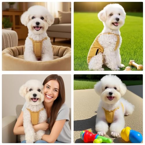 Hundewindeln für Hündinnen, Waschbare Läufigkeitshose für Hündinnen Hunde Windeln Weiblich Hundewindeln Inkontinenz Hündin Schutzhose Höschen für Hunde Läufigkeit Hundehöschen Op Body Hund