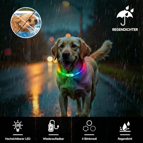 Leuchthalsband Hund Aufladbar, LED Hundehalsband Leuchtend wasserdicht mit 3 Lichtmodi in der Nacht Sicherheit für Kleine, Mittlere und Große Hunde Leuchthalsband, Mehrfarbig 70cm