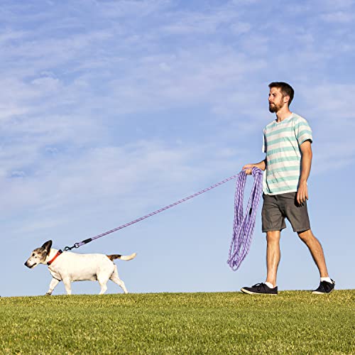 Image of Long Dog Leash for Training 20Ft-Reflective Nylon Rope with Swivel Hook-Recall Agility Lead for Large Small Medium Dogs Outside Walking Hiking-Purple Diam 1 /2 inch