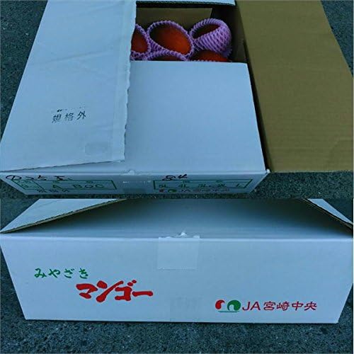 お洒落無限大 宮崎マンゴー 訳あり 約５キロ 規格外 加工用 メガ盛り クール便発送 ｊａ宮崎中央 はまゆう 小林 完熟マンゴー 正規激安 Www Iacymperu Org
