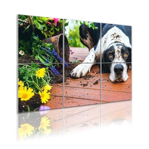 6 Pack Acoustic Wall Panels for Soundproofing