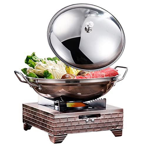 Cocina de alcohol para interior con olla, 21 cm, acero inoxidable, para camping, cocina, sin electricidad, para interiores Cover