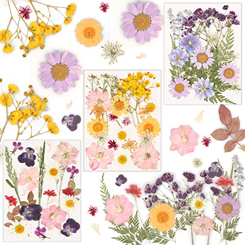 Gepresste Blumen, 66 Stück Natürliche Getrocknete Blumen, DIY...