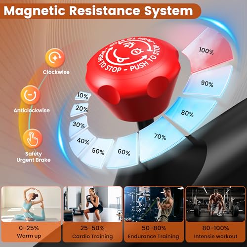 Image of Exercise Bike for Home, Quiet Adjustable Magnetic Stationary Bike for Home Cardio with App Compatible, Spin Bike with 400 lbs Capacity, Spinning Bike with Heart Rate Monitor,Comfort Seat /Alloy Pedals /LCD Monitor