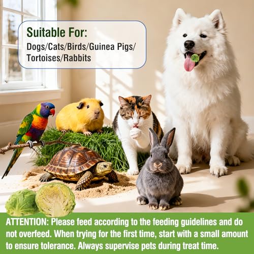 Freeze Dried Brussels Sprouts for Dog, Single Ingredient, Nutrient Rich, Low Calorie Dog Treats Snack, Also for Rabbits, Birds, Turtles & Guinea Pigs - Image 7