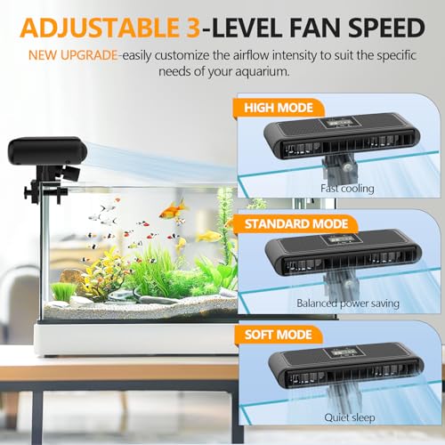 View 4