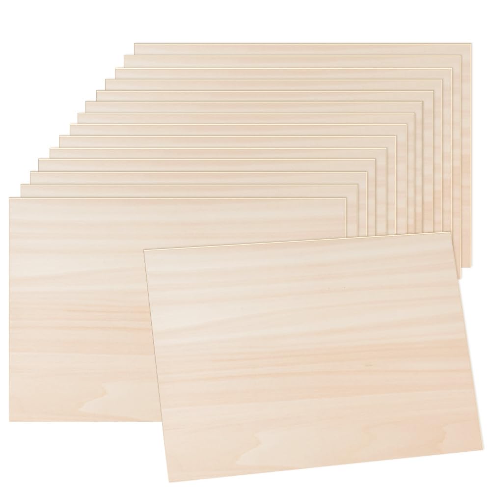 HEKOBAG 15 Placas de Madera Contrachapada para Manualidades, Tablero de Balsa, Pintura