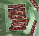 Clear File 12B Negative Page (25 Pack) 7 Strips of 5 Negatives
