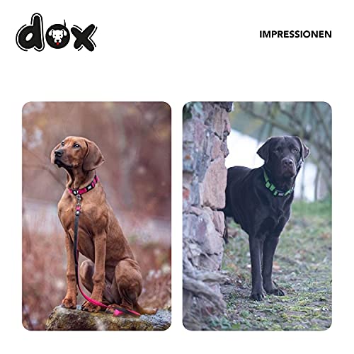 DDOXX Airmesh Hundehalsband - Stabiles und Verstellbares Welpenhalsband für alle Größen - S (Schwarz)
