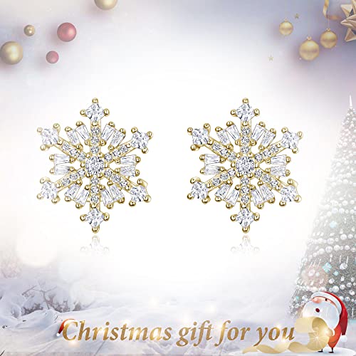 EVER FAITH 925 Sterling Silver Cubic Zirconia Winter Snowflake Flower Elegant Stud Earrings2