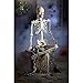 Home Accents HolidayGanmm 5 ft. Poseable Skeleton with LED Illumination