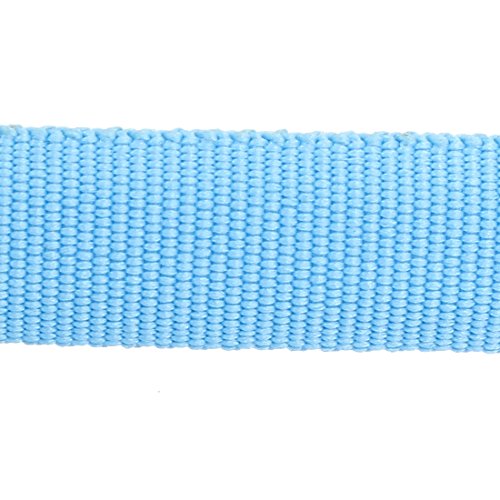 Ruilogod Haustier Katze Hund Blaue Beleuchtung Nylonleine Harmess-Bleigurt 120 cm