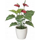 造花 インテリア観葉植物「アート・フラワー＆グリーン30」光触媒(空気清浄) フェイク (アンスリューム-S)