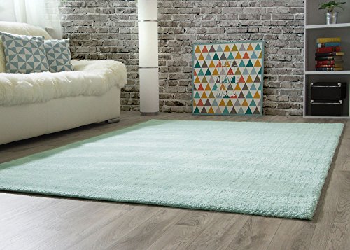 Steffensmeier Designer Teppich Modern Nicki in Mint, Ökotex Zertifiziert, Größe: 120x180 cm