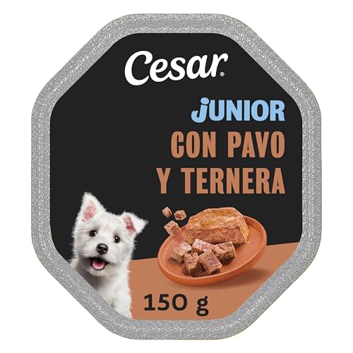 Cesar Tarrina Junior 14 x 150 g, con trozos Tipo paté de Ternera y Pavo