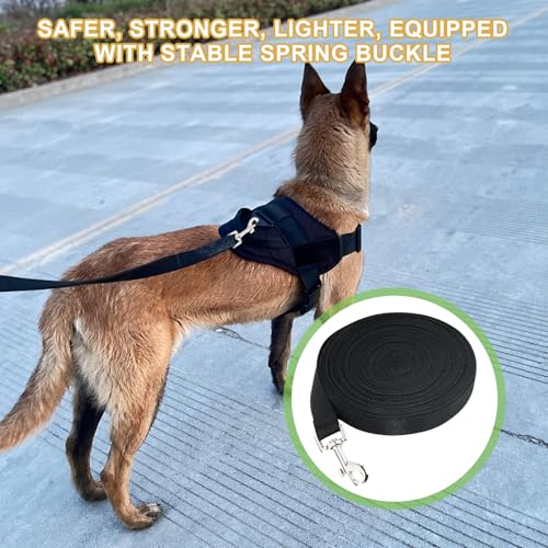 Noaxylic Schleppleine für Hunde, 10m Schleppleine Stark & Robust, Hundeleine mit Handschlaufe und Metall Karabiner, Trainingsleine für Kleine Mittlere und Große Hunde (Schwarz)