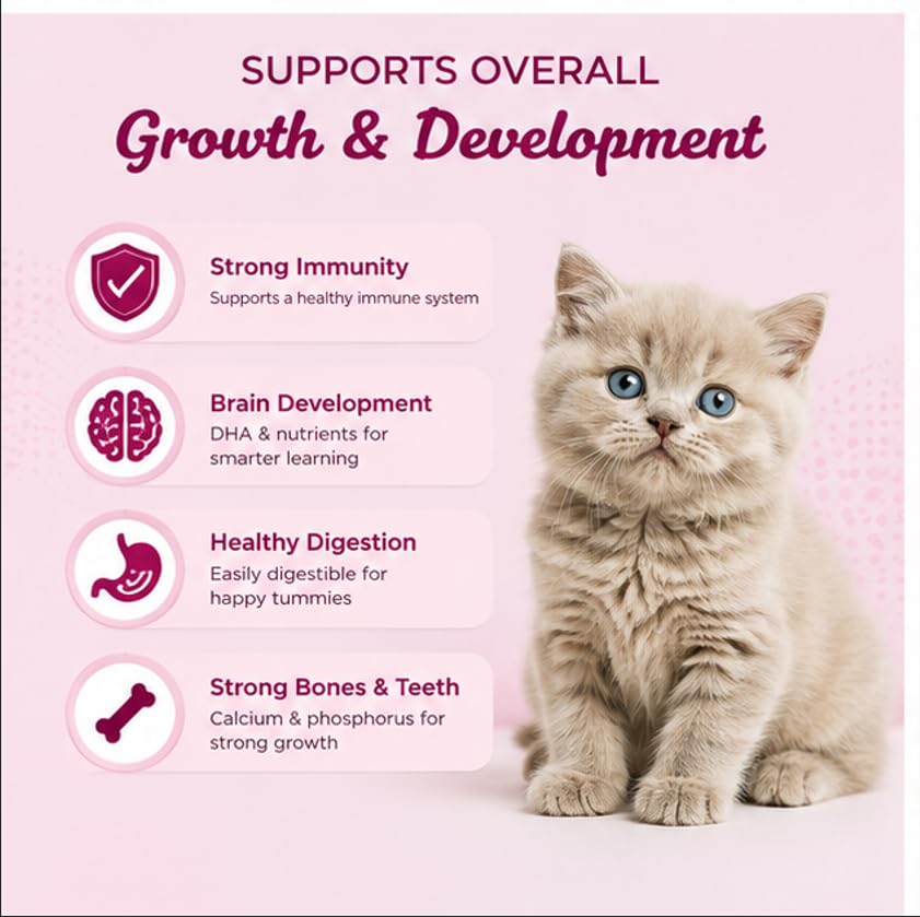 INVIGRO Fish & Milk High Protein Kitten Dry Food 1kg - Complete & Balanced Nutrition -Supports Muscle Strength, Digestion & Healthy Coat 3