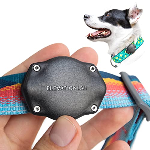 Amazon Best Sellers Best Dog Collars