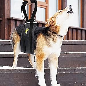   Dog-Portable-Lift-Harness-Support-SlingOld-DogsAssisted-Rehabilitation-Rear-Legs-Walking-AidHelp-Relieve-The-Joint-Damage-and-Arthritis-Caused-by-The-Loss-of-ACLAdjustableBlackSmall