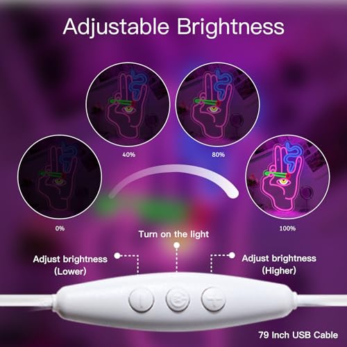 Image of WLHOPE Evil Eye Hand Neon Sign for Wall Decor Pink Blue Led Lights Hamsa Light Signs USB Connectivity Eye Neon Light Signs for Bedroom Game Room Home Bar Pub Cafes Party Gift