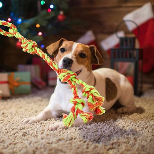 HYSHLC Reizangel Hunde, Reizangel für Hund Große Längenverstellbare, Aktives Hundespielzeug Unzerstörbar, Hundetraining mit Knotenspielzeug Grün und Orange