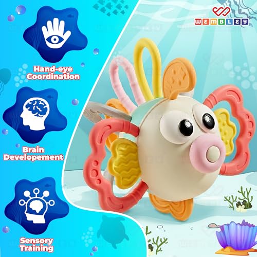 Image of Wembley Teethers Baby Toys for 6 to 12 Months | BPA Free Food Grade Silicone Baby Sensory Motor Skills Montessori Toddler Pull String Activity Toy for Babies | Gift Toys for 3-12 Months Girl Boy