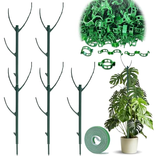 Monstera Rankhilfe Zimmerpflanzen, 5 Stück Pflanzenstütze für...
