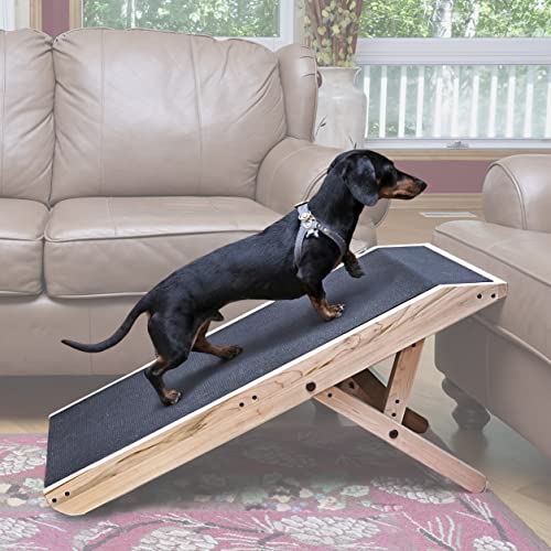 7 of the Best Ramps for Older Dogs [Detailed Reviews]