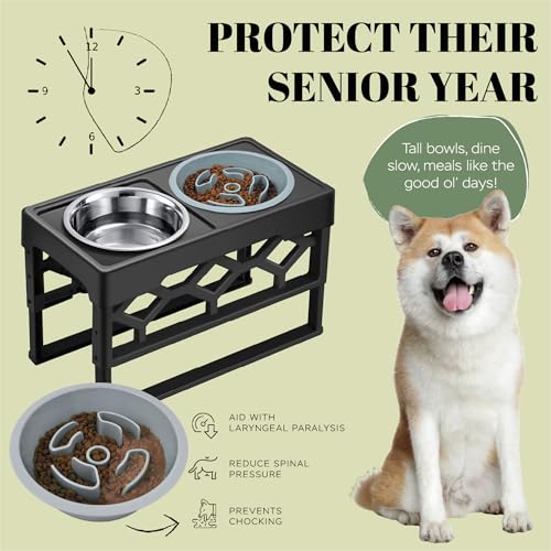 AVERYDAY Small Slow Feeder Dog Bowls Elevated, 4 Height Adjustable Raised Dog Bowl Stand with Stainless Steel Food and Water Bowl, Tall Dogs Feeding Station with Anti-Slip for Small Medium Breeds Dogs - Image 3