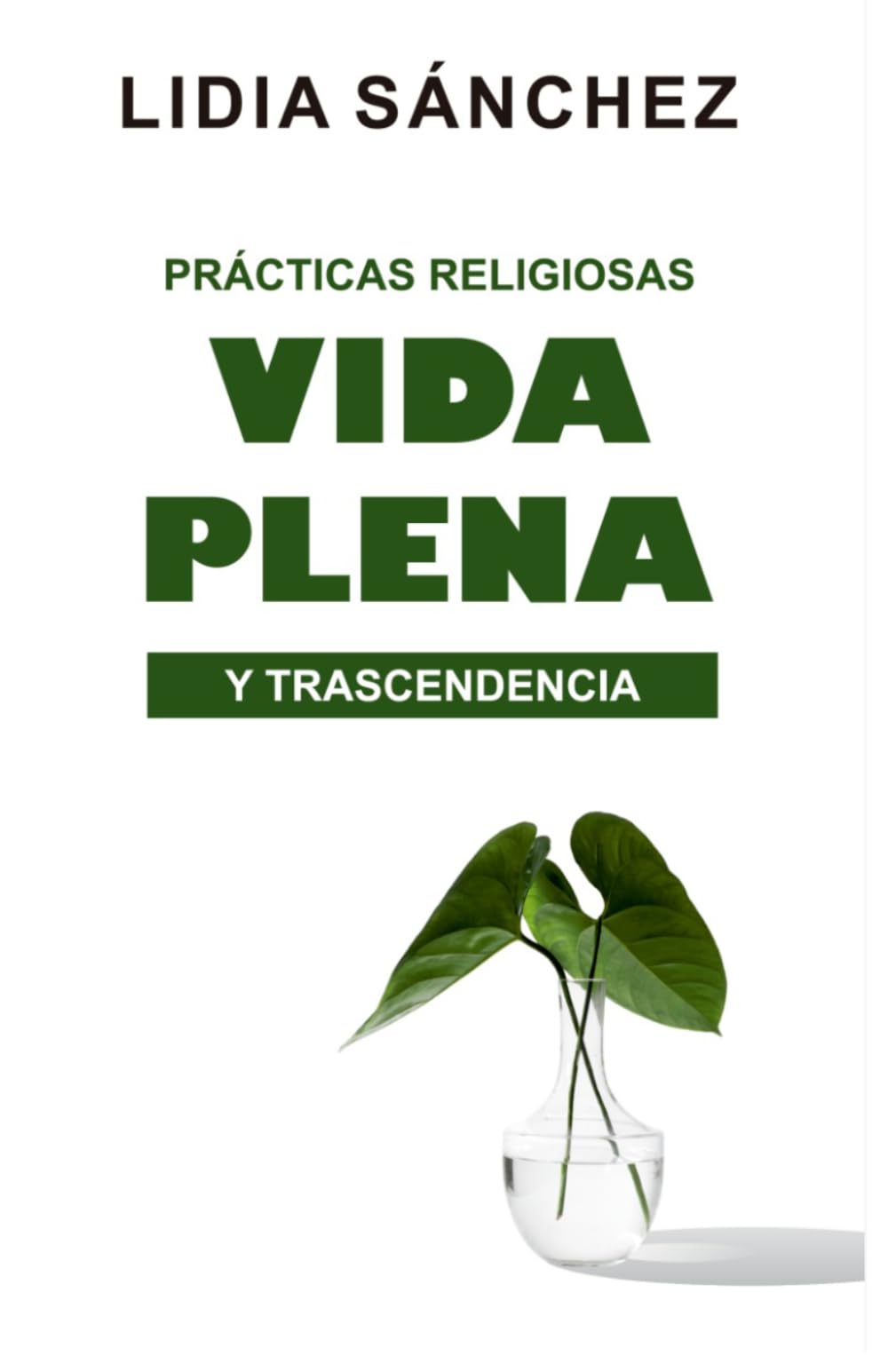 Prácticas religiosas, vida plena y trascendencia: Aportes desde el desarrollo humano y la experiencia de personas de fe
