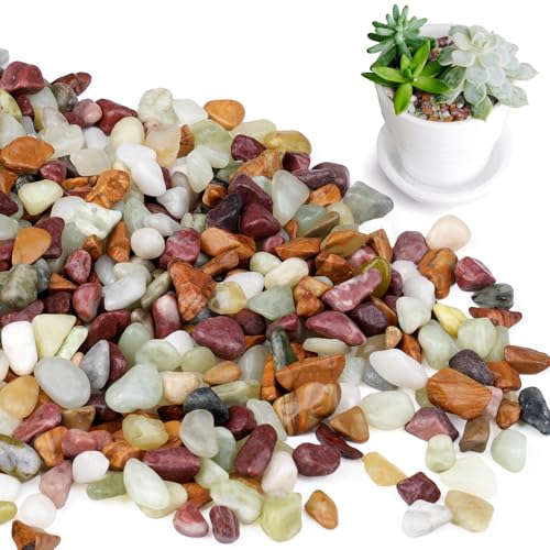Rahato 2.5lbs Pebbles for Indoor Plants, 3/8 Inch Small Rocks for Potted Plants, Succulents, Vase Fillers, Cactus Planters, Bird Bath, Fountain, Outdoor Garden Landscaping