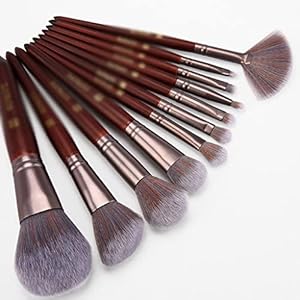 12 Brushes Set Full Set Loose Powder Blush Eye Shadow Brushes Beauty Tools Mahogany Handle