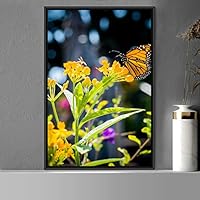 Framed Canvas Wall Art Butterfly Expressive Farmhouse/Country Home Office Insects Lake Multicolor Photography - 16x24 inches