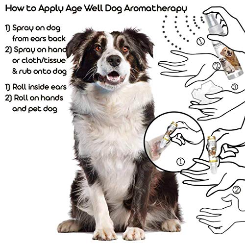 Image of The Blissful Dog Border Collie Age Well Dog Aromatherapy Roll-On Bottle for Your Dog's Peaceful Ageing