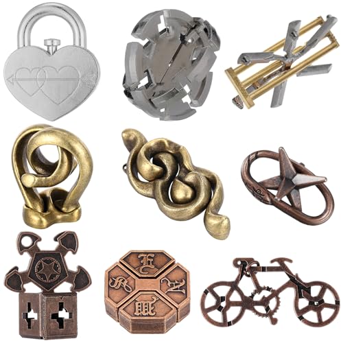 Wettarn 9 Pcs Metal Brain Teaser Puzzles 3D Steel Puzzle