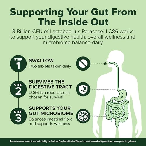 Image of Lactobacillus Paracasei Probiotic 240 Tablets (4 Month Supply) - Researched Strain - 3 Billion CFU - Digestive Health & Wellness Support - GMP Certified (240, Lactobacillus Paracasei)