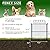 Decorative Garden Fence 24in(H) x11.25ft(L),10 Pack Rustproof Metal No Dig Fence Animal Barrier for Dog, Arched Flower Bed Edging Ornamental Wire Border Panel Fencing for Yard Patio Outdoor Decor