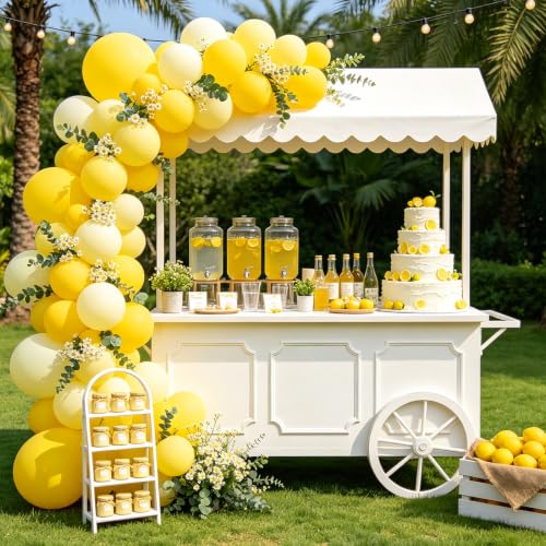 Image of 108Pcs Double Stuffed Yellow Balloon Garland Arch Kit