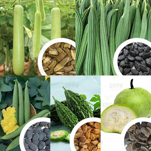 Image of Gourd Lovers Combo 100+ Vegetable Seeds for Home Garden