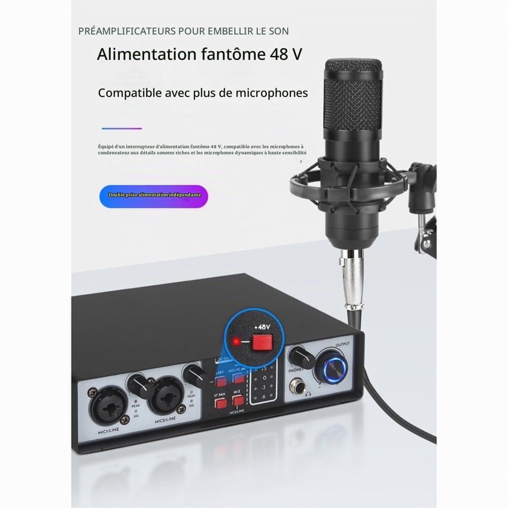 Interface Audio USB 2 Entrées 2 Sorties Kit Studio 32 Bits/384 KHz Enregistrement Carte Son Professionnelle Phantom 48 V