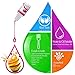 18 Soap Making Scent - Liquid Soap Fragrance Oils Set for DIY Bath Bomb, Soap Making Supplies, Slime - Concentrated Food Grade Soap Flavoring Bath Bomb Scents for Cosmetic, Crafts - 10ml/0.35oz Each