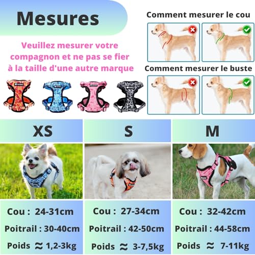 Harnais et Laisse pour Chien Chiot Chat. Harnai Réglable Original Arnet Anti Traction Coffret Cadeau pour Les Chiens de Petite Taille comme Bichon Léger Souple Solide (S, Orange) Poids Idéal 3-7,5kg - Image 5