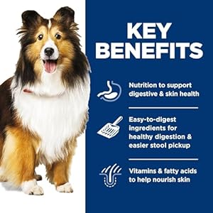 Hills science weight loss plan delicate abdomen  pores and skingrownup 1 6 abdomen  pores and skin sensitivity assistmoist canine mealsselection packhen  greens salmon  greens loaf12 8 oz can selection pack case of 12   cucciolini doodles