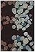 Chandra Organic Rug Avalisa-6116 5