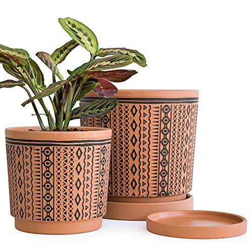D'vine Dev Set of 2 Terracotta Pots, 6.5 Inch & 8.2 Inch, Planter Pots for Plants with Drainage Holes and Saucers, Terracotta/Black, Medium, 34-958-A-2