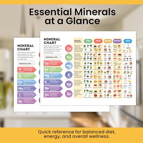Vitamines minéraux guide des aliments riches en protéines éducatif
