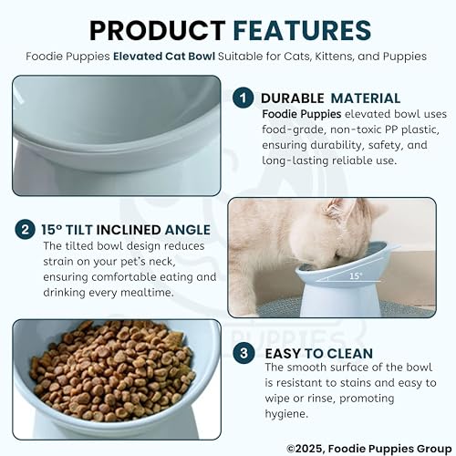 Image of Foodie Puppies Elevated Cat Bowl Feeder Food Water Feeder Bowl for Cats, Kittens & Puppies | Persian Cat Food Bowl Tilted Raised Bowl Anti Vomiting 15 Slanted Bowl (Color May Vary)
