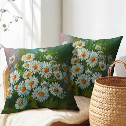 PAKAZA �N�b�V�����J�o�[ �����f�C�W�[ �[�΂̉Ԕ� �A�[�g ������� �C���e���A ���j�[�N �� �|�b�v �f�U�C�� �N���X�}�X �M�t�g �a���� �k�� 50×50cm �� �� �W�� �z�e�� �X�ܗp �ƒ�p 2���Z�b�g ���l���� ���J�o�[ ���z�c�J�o�[ 